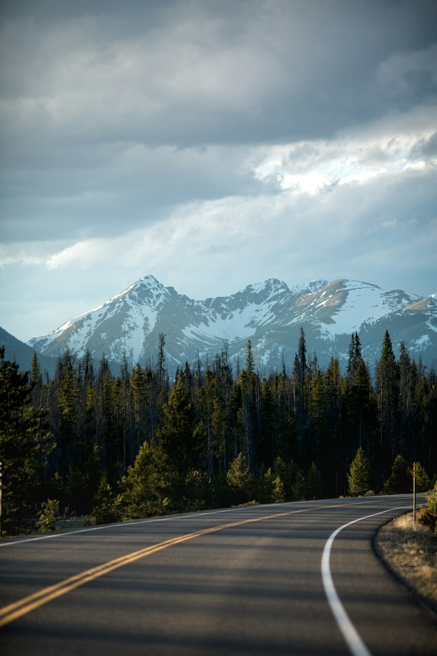 Tales from the Road: Light Field Adventure Stories